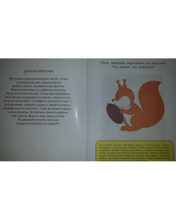 Запомни картинки. Развиваем память. Для детей 1-2 лет