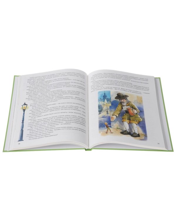 Чудесное путешествие Нильса с дикими гусями