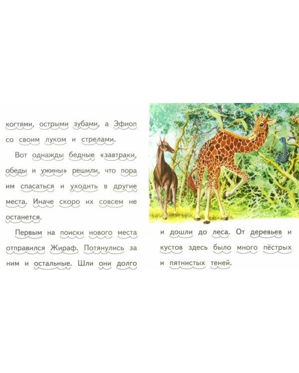 Как леопард стал пятнистым