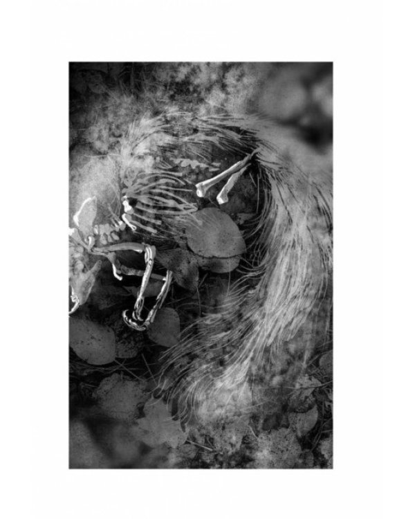 Шесть серебряных пуль