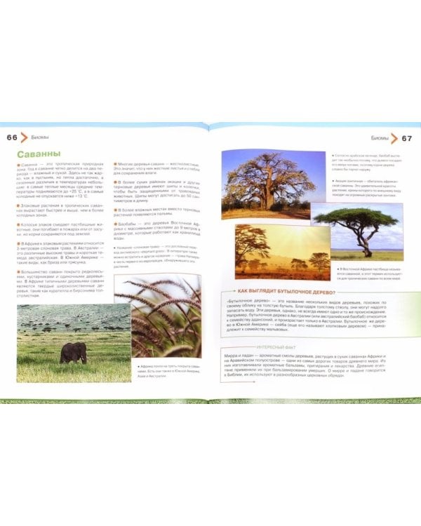 Большая энциклопедия растений для детей