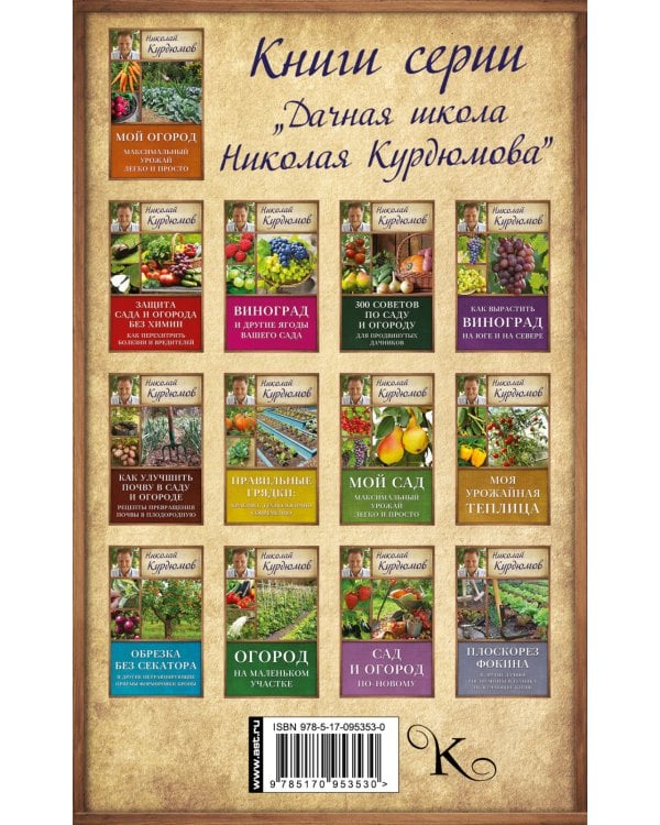 Современный сад для тех, у кого нет времени