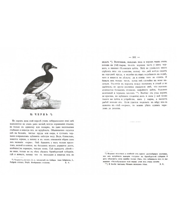 Записки ружейного охотника Оренбургской губернии