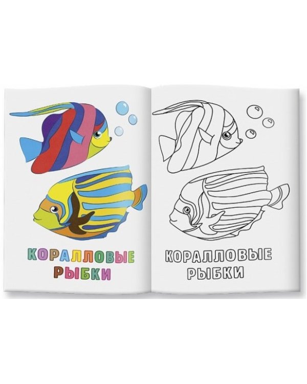 Морские обитатели. Раскраска для малышей