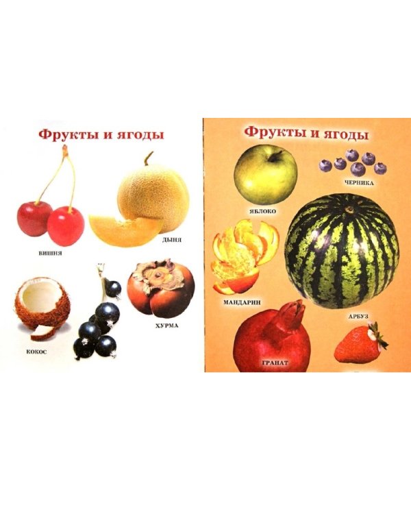 Самая первая книга малыша. Большие буквы. Большие картинки