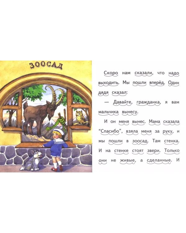 Что я видел. Как мы ездили в зоологический сад