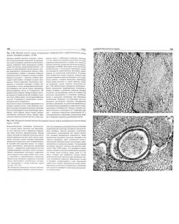 Цитология.Функциональная ультраструктура клетки.Уч.пос.