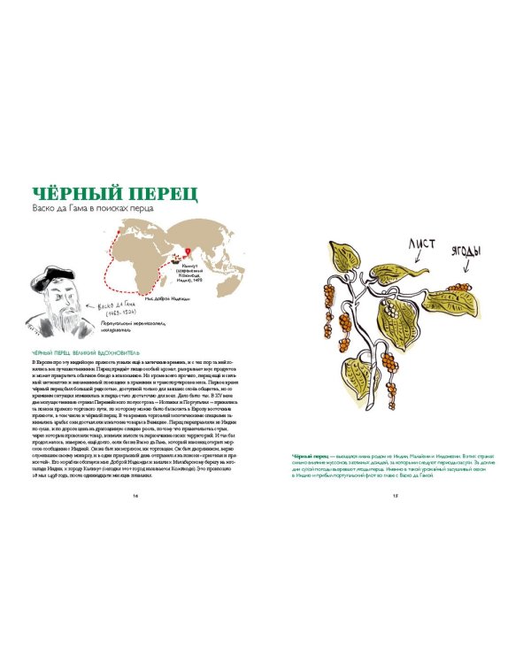Вкусная история.Путешествие фруктов и пряностей из далёких стран
