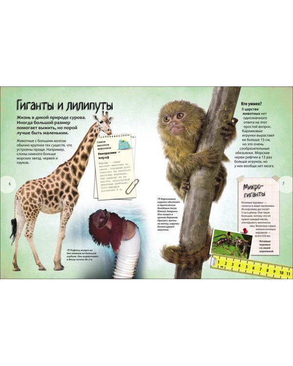 Самые-самые животные.Энциклопедия удивительных фактов