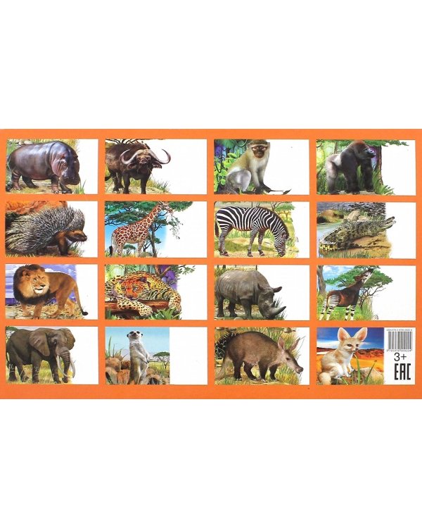 Животные Африки