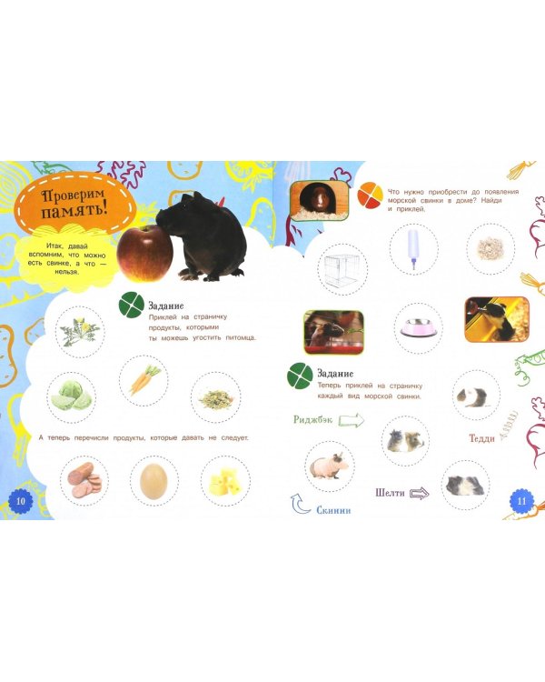 Моя маленькая морская свинка. Наклейки внутри