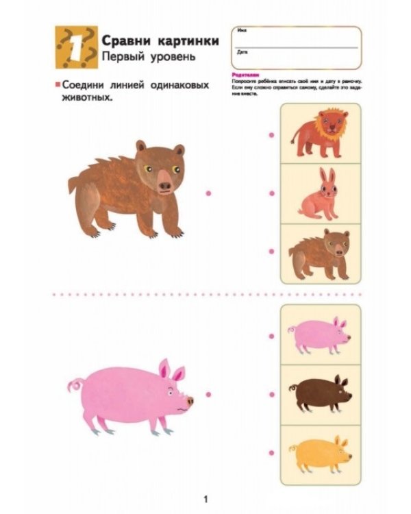 Kumon. Развитие мышления. Сходство и различие