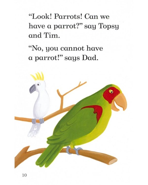 Topsy and Tim. Go to the Zoo + downloaded audio