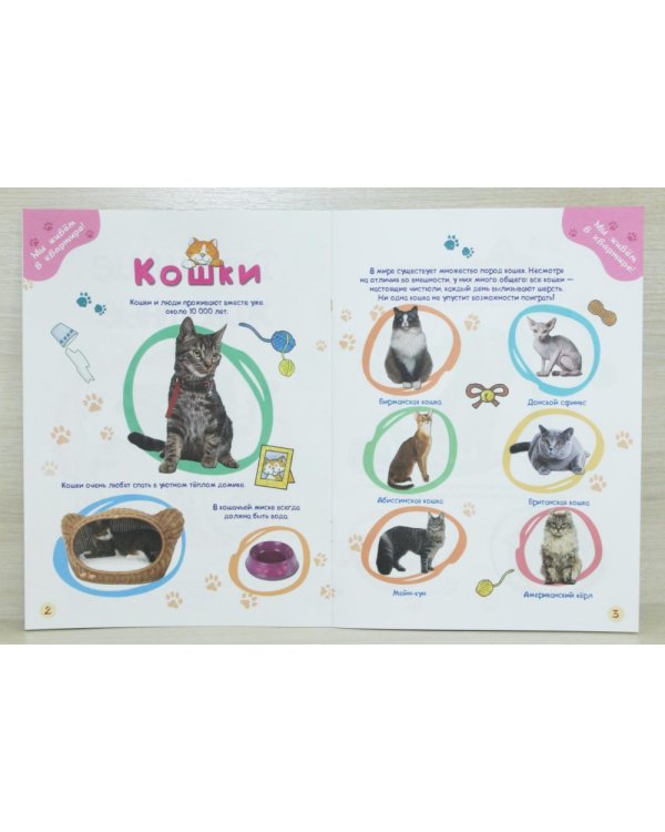 Домашние животные