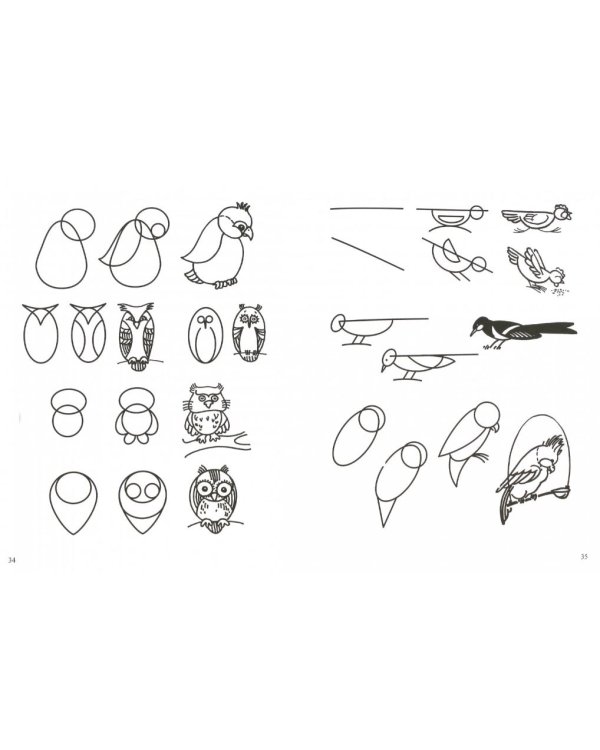 Рисуем животных по алгоритмическим схемам.5-7 лет (ФГОС)