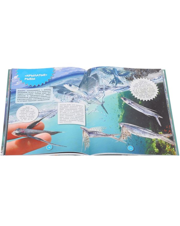 Подводный мир