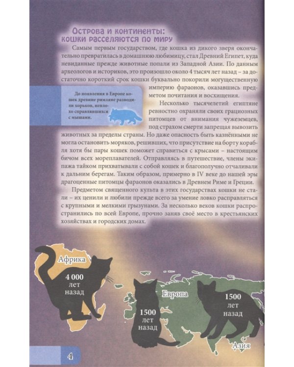 Все о кошках
