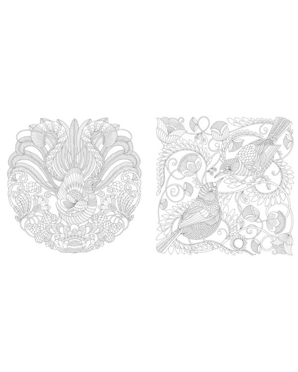 Дивные птицы. Книга для творчества и вдохновения