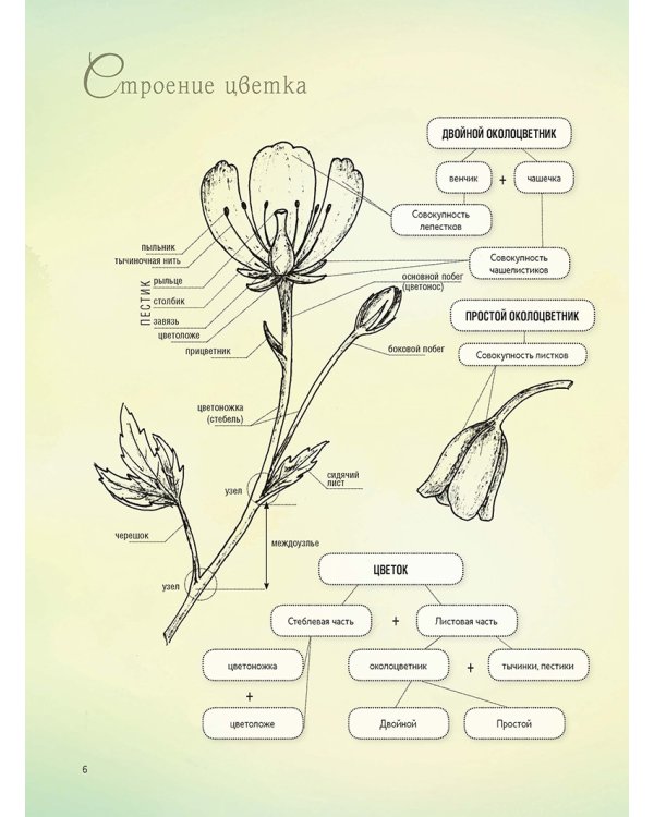 Весенние цветы из полимерной глины.Поробные мастер-классы