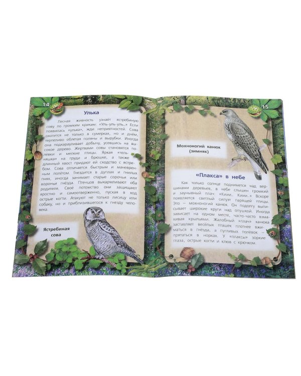 Пернатые хищники