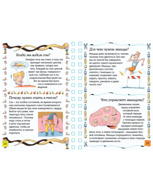 Тело человека