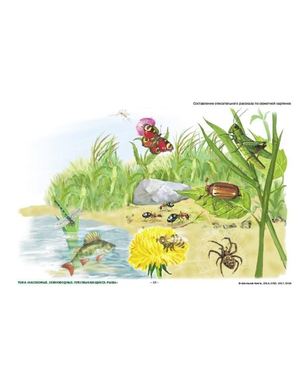 Сюжетные картинки. Для составления описательных рассказов. Комплект из 22 демонстрационных сюжетных картинок формата A3. ФГОС