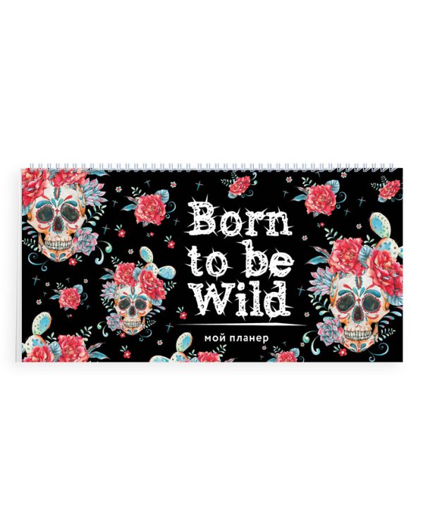 Мой планер. Born to be Wild