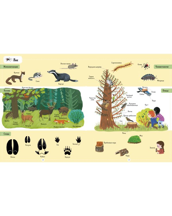 Я знаю 1000 слов о природе