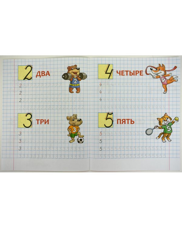 Элементы цифр и знаков 5-6 лет