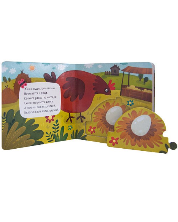 Как растет петушок (книга с пазлами)