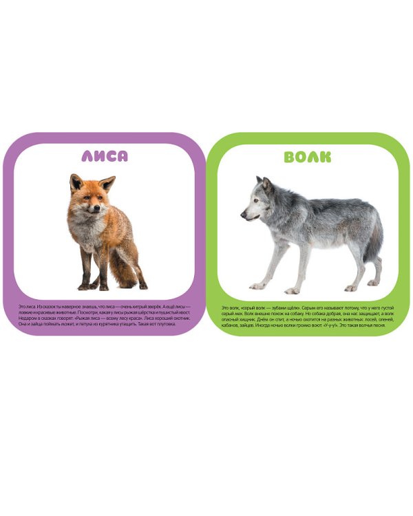 Лесные животные