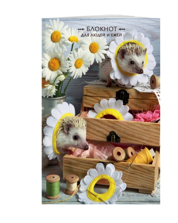 Блокнот для людей и ежей. Нитки