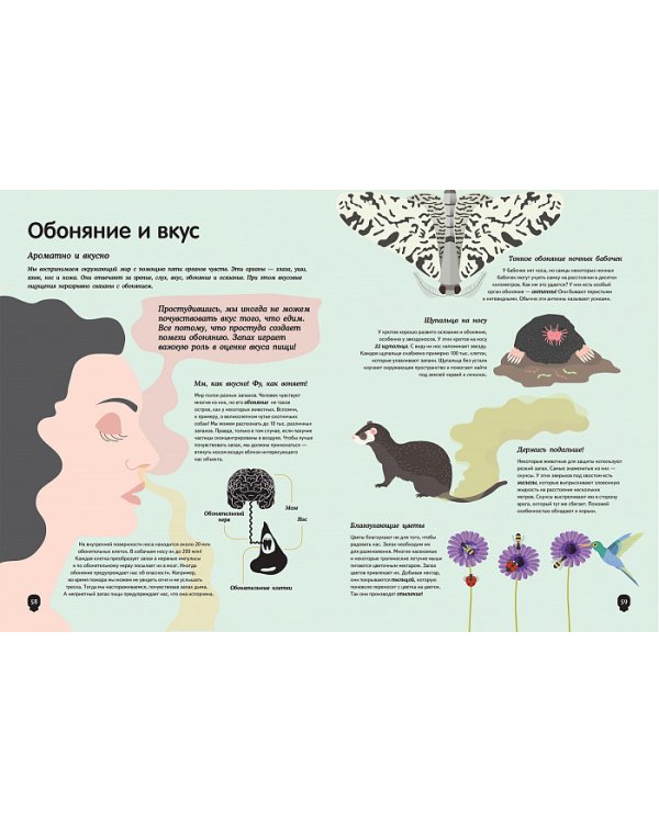 Тело человека. Визуальный гид