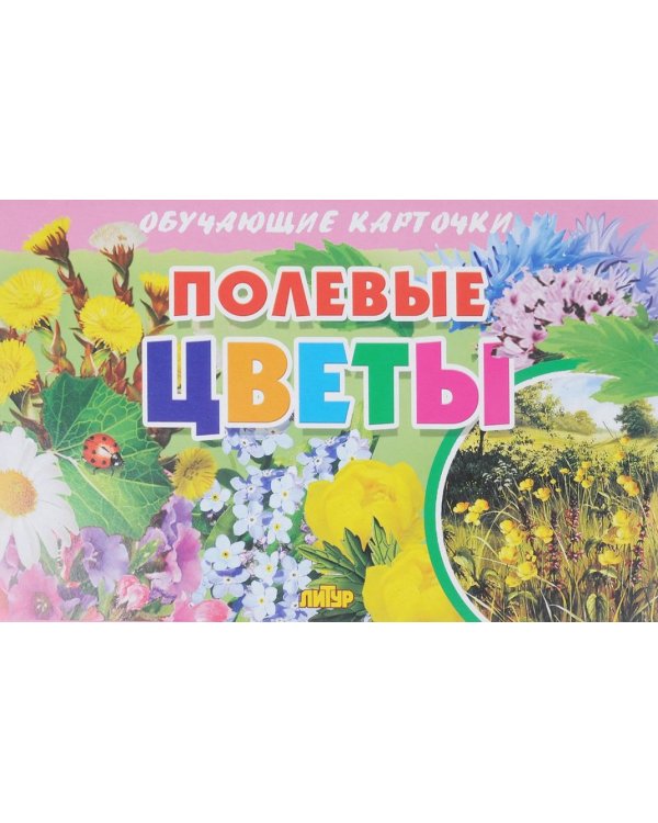 Полевые цветы (в европакете)