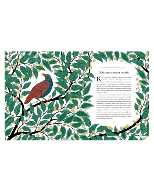 Книга исчезающих животных для неравнодушных сердец