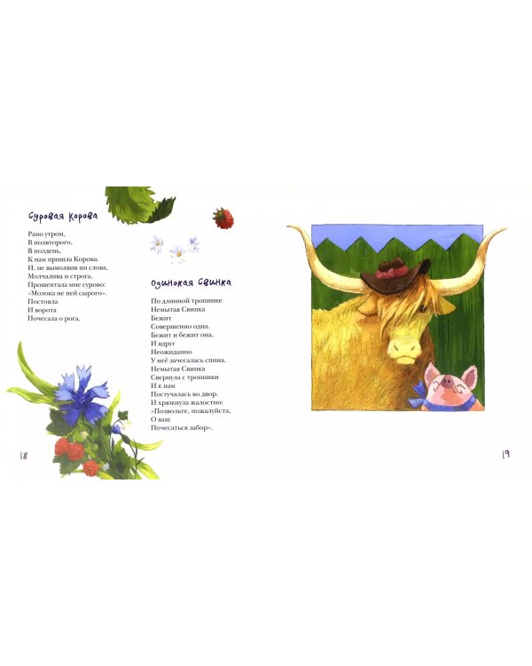 Про осьминога 