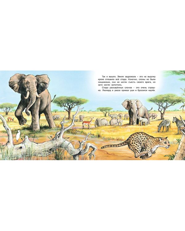 Приключения слонёнка