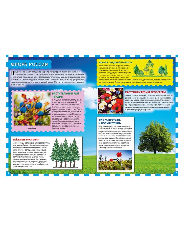 Растения России. Энциклопедия для детей