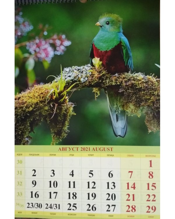 Мистер Валентайн. Дело о похищенной нечисти