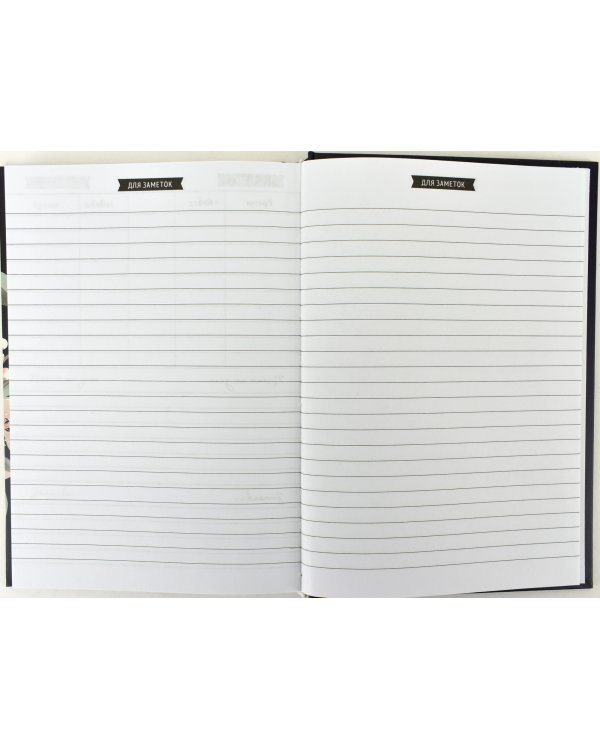 Ежедневник учителя. 2020-2021