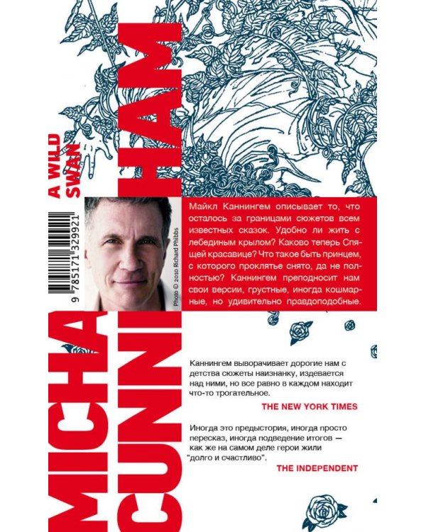 Дикий лебедь