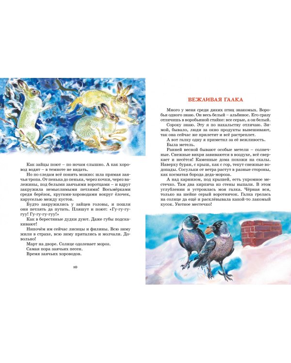 Лесные тайнички