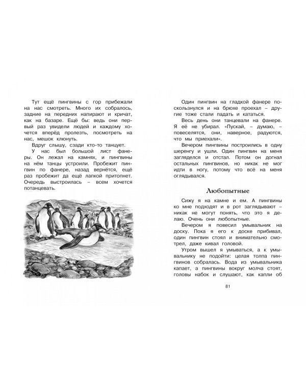 Беспокойный хвостик