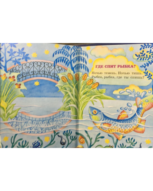 Где спит рыбка?