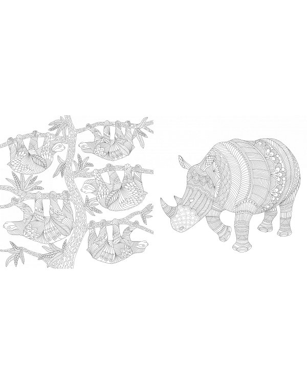 Божественные создания. Золотая коллекция любимых иллюстраций