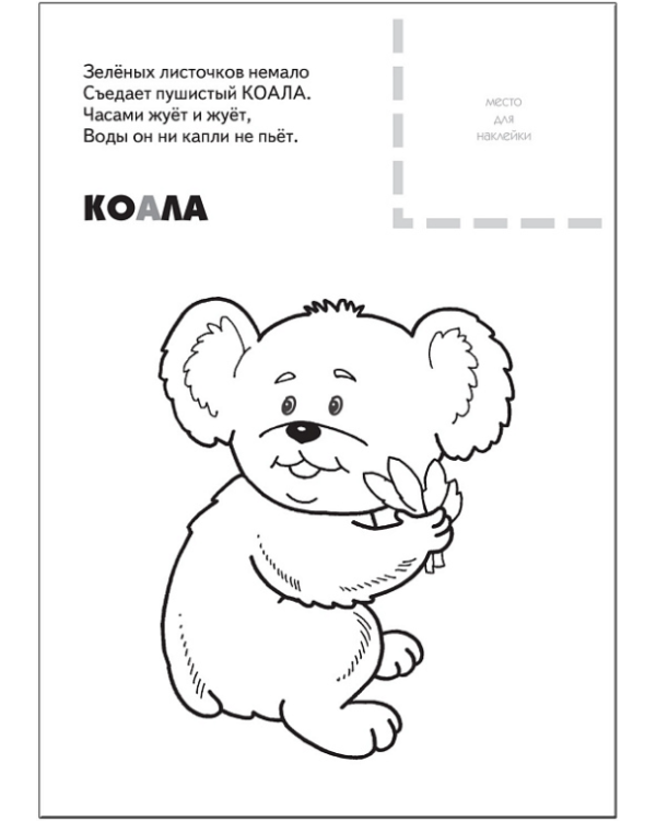 Животные жарких стран