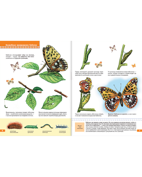 Тайны природы