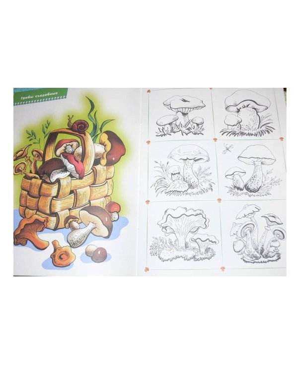 Что лежит в лукошке?