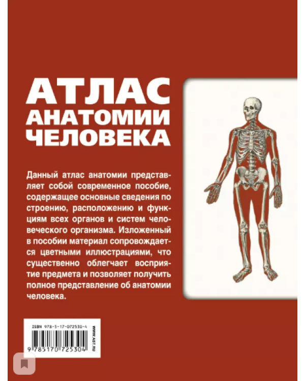 Атлас анатомии человека