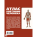 Атлас анатомии человека